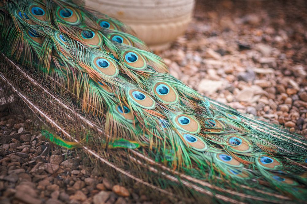 Photograph by Ольга Рачилова