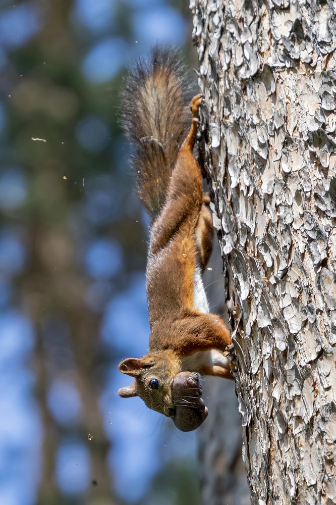 Photograph by Константин Кукушкин