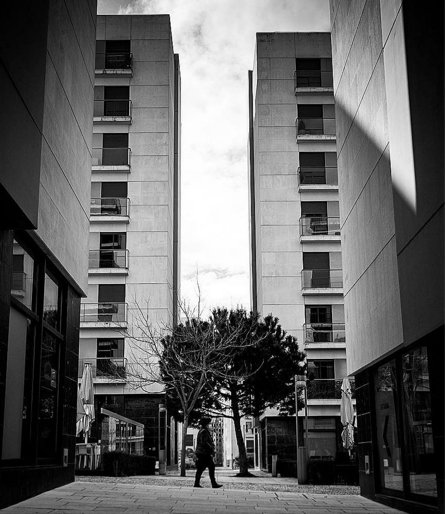 Photograph by Matin Heshmati