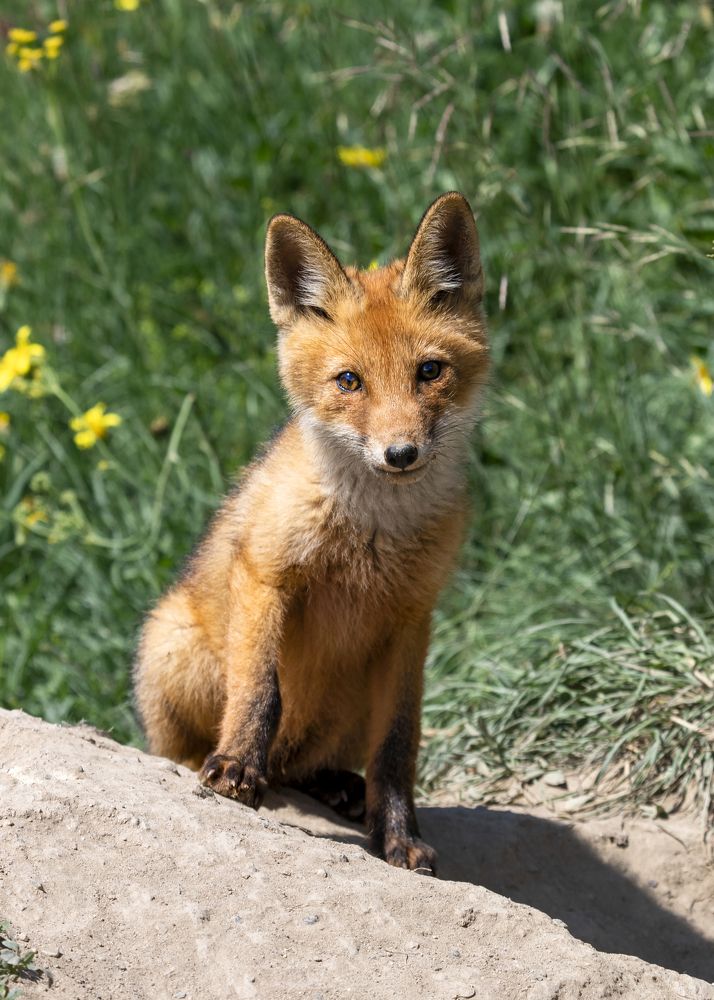 Photograph by Константин Кукушкин