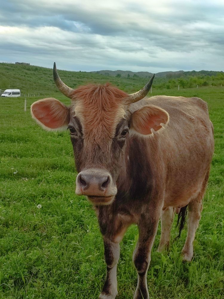 Photograph by Лэйла