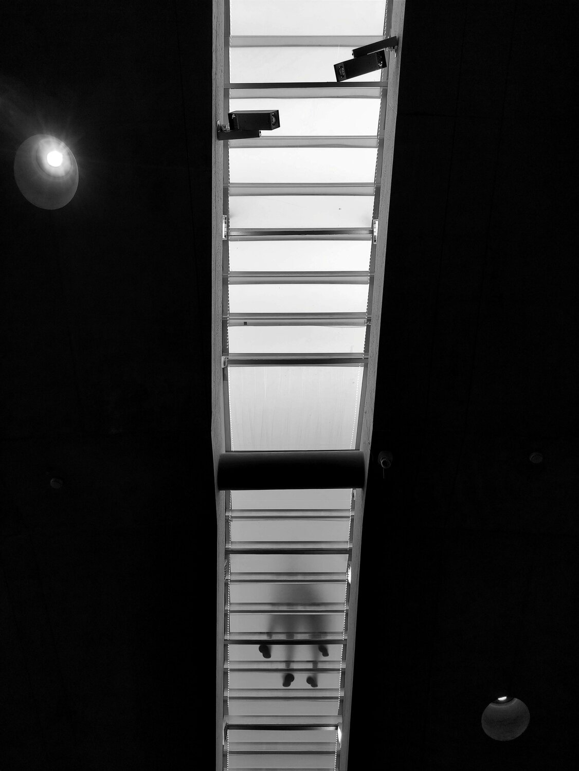 Photo #7966815