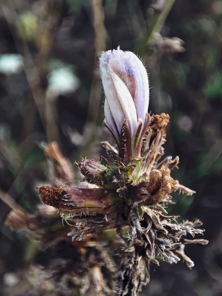 Photograph by Лэйла