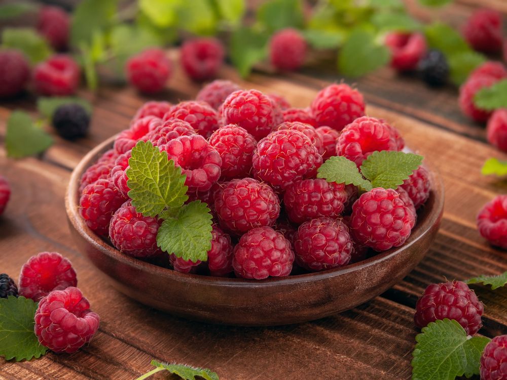 Photograph by Marina David