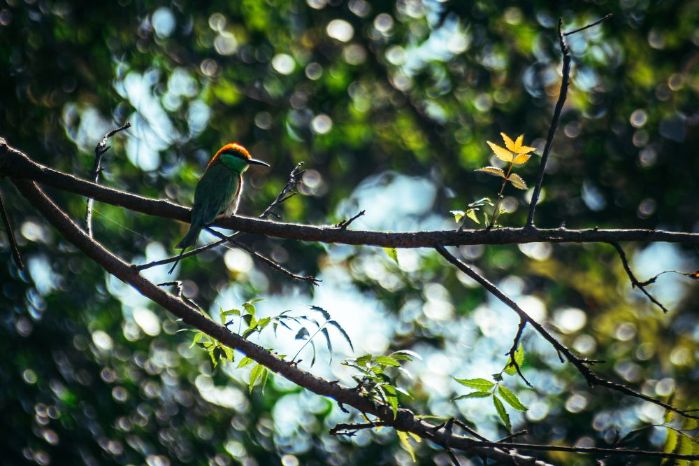 Фотография автора Arpit Dhore