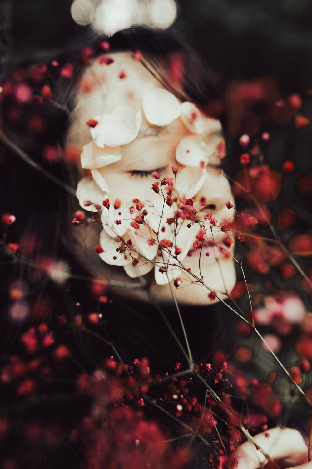 Photo #7966866