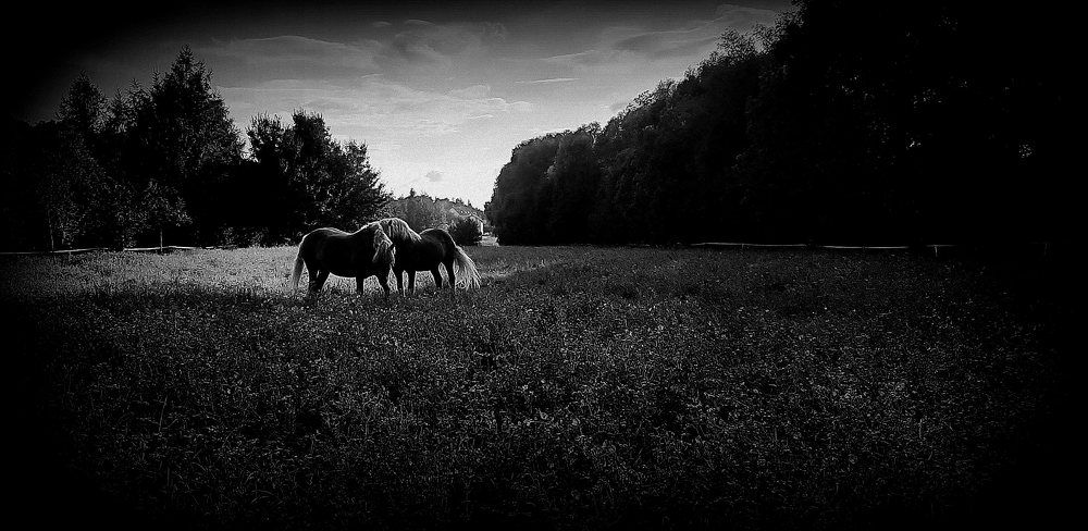 Photograph by Arkadij Frejdlin