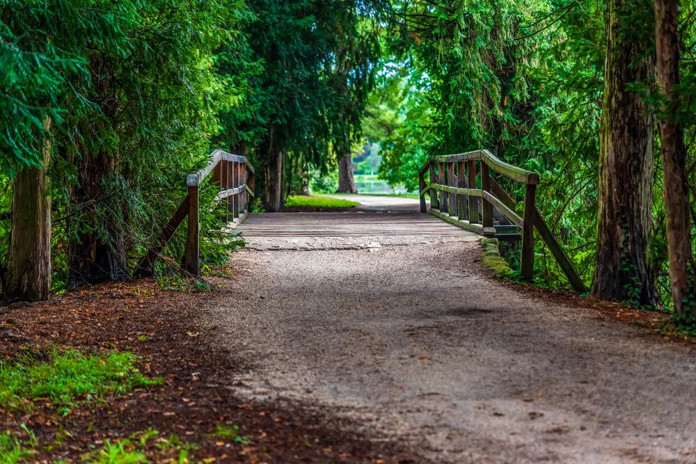 Photograph by Ludovit Repan