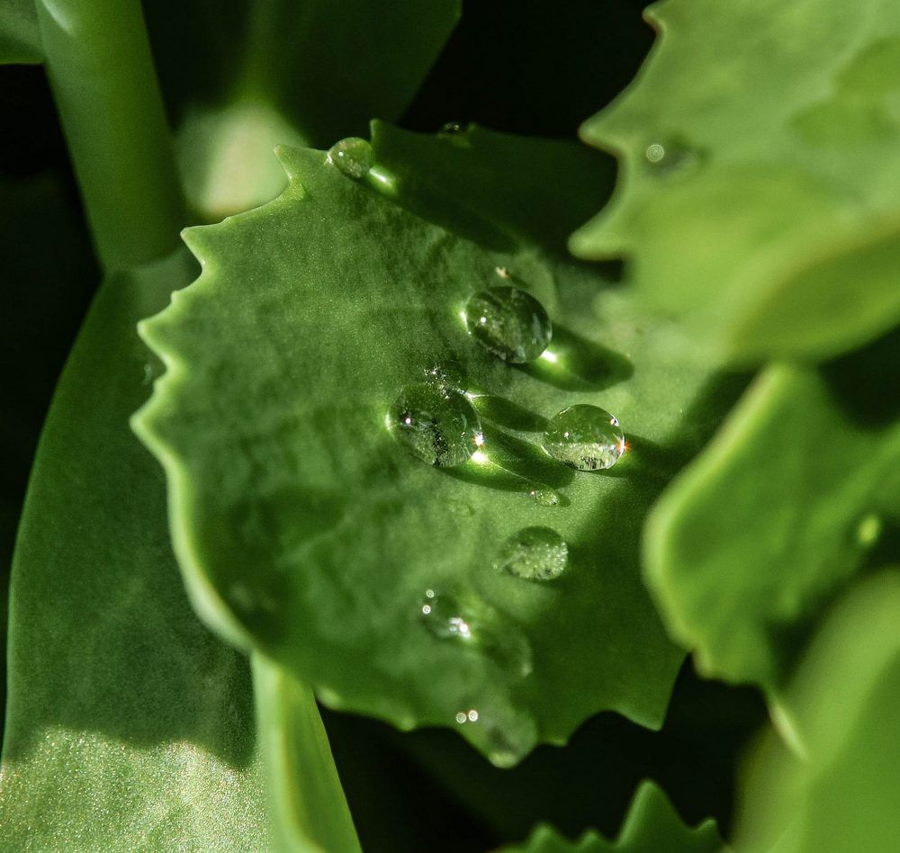 Photograph by Виктор Рыков