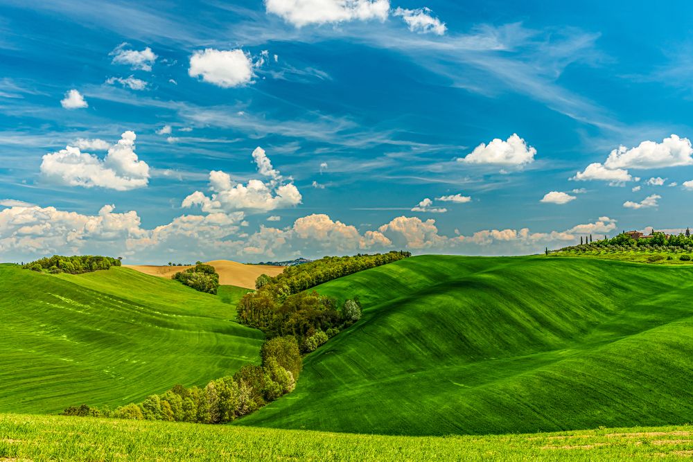 Photograph by Ludovit Repan