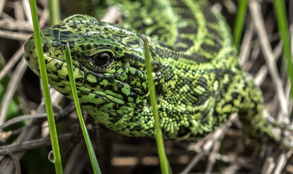 Photograph by Виктор Рыков