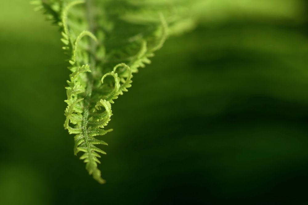 Photograph by Светлана Семёнова