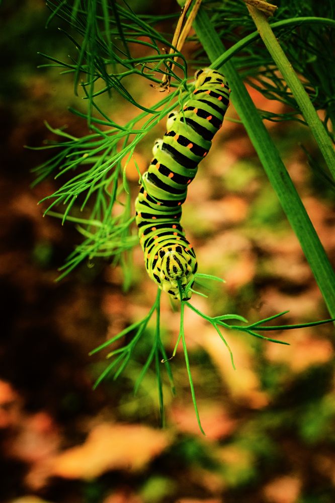 Photograph by Nikita Silyavin