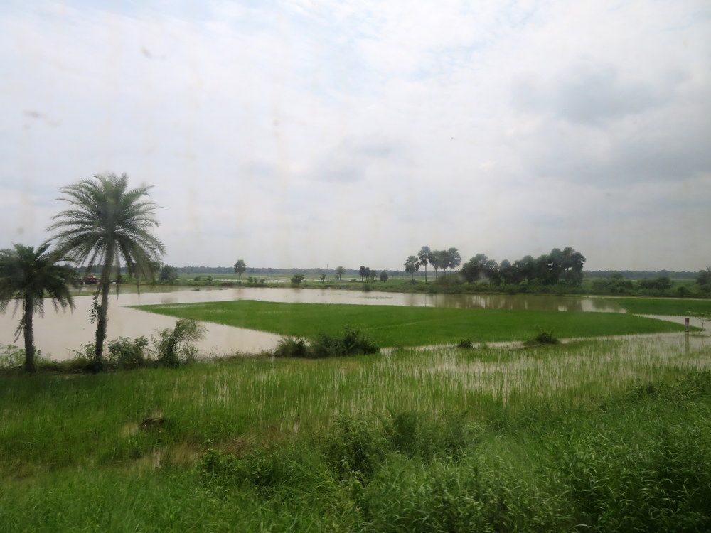 Photograph by Susmita Paul