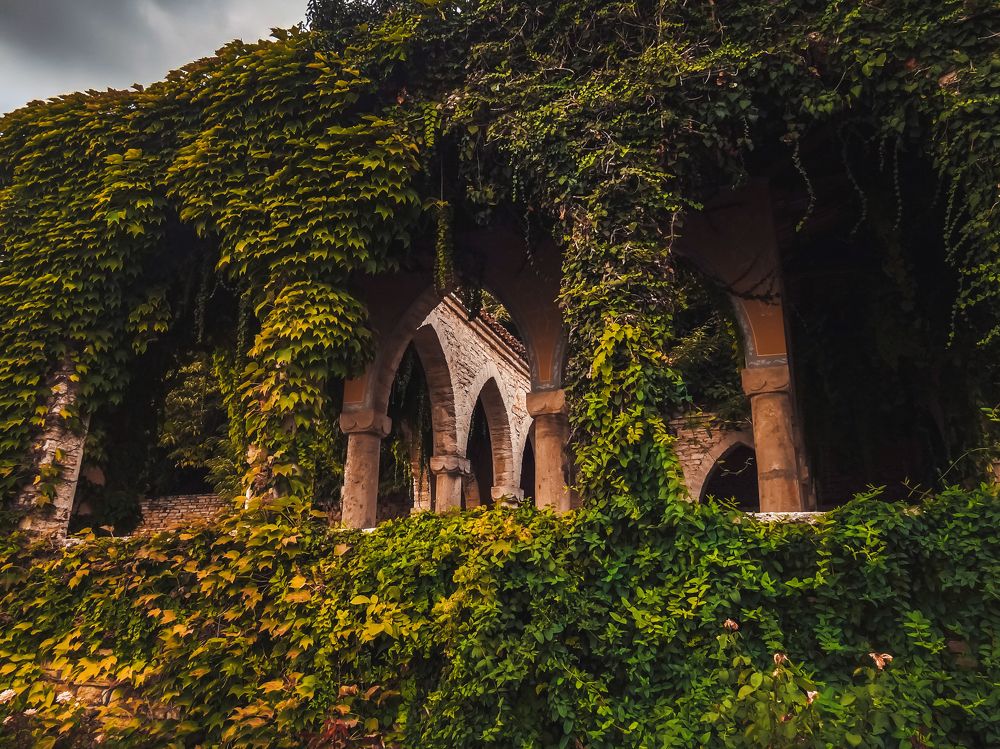 Photograph by Арина Стрябчева