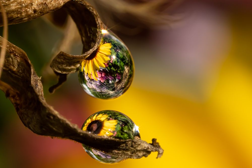 Photograph by Николай Фонарёв