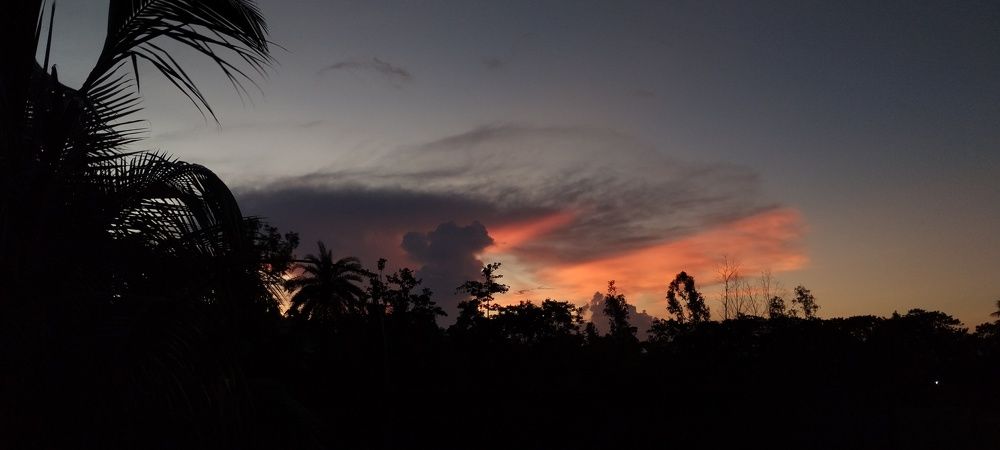 Photo #7967225