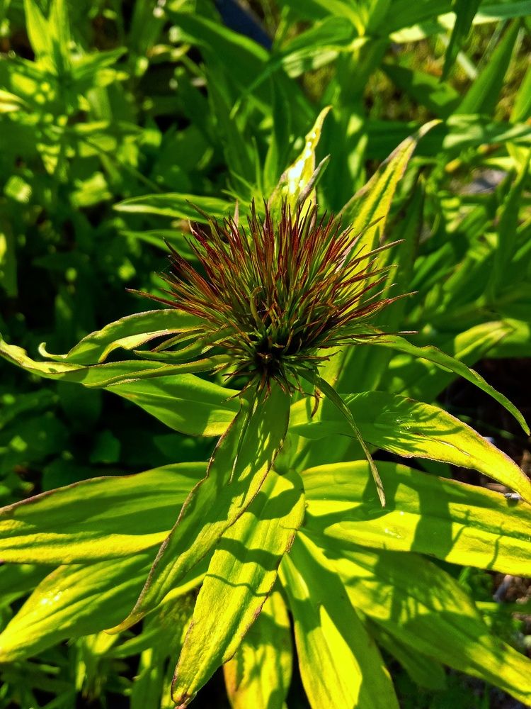 Photograph by Анастасия Чадина