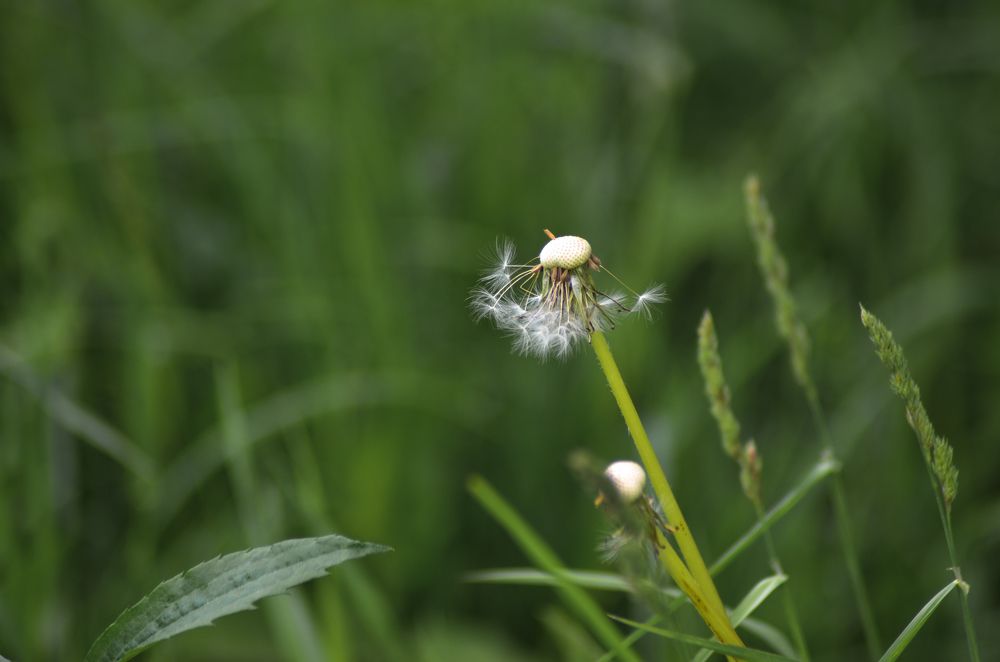 Photograph by Елена Сырцева