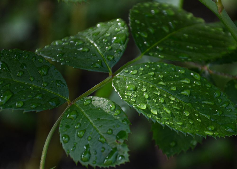 Photograph by Елена Сырцева