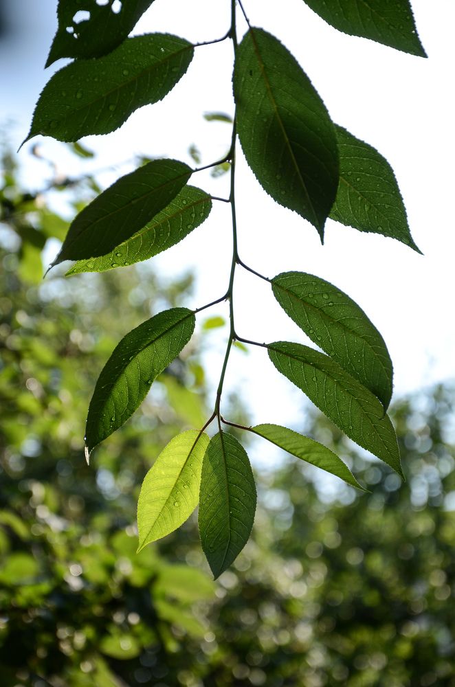 Photograph by Елена Сырцева