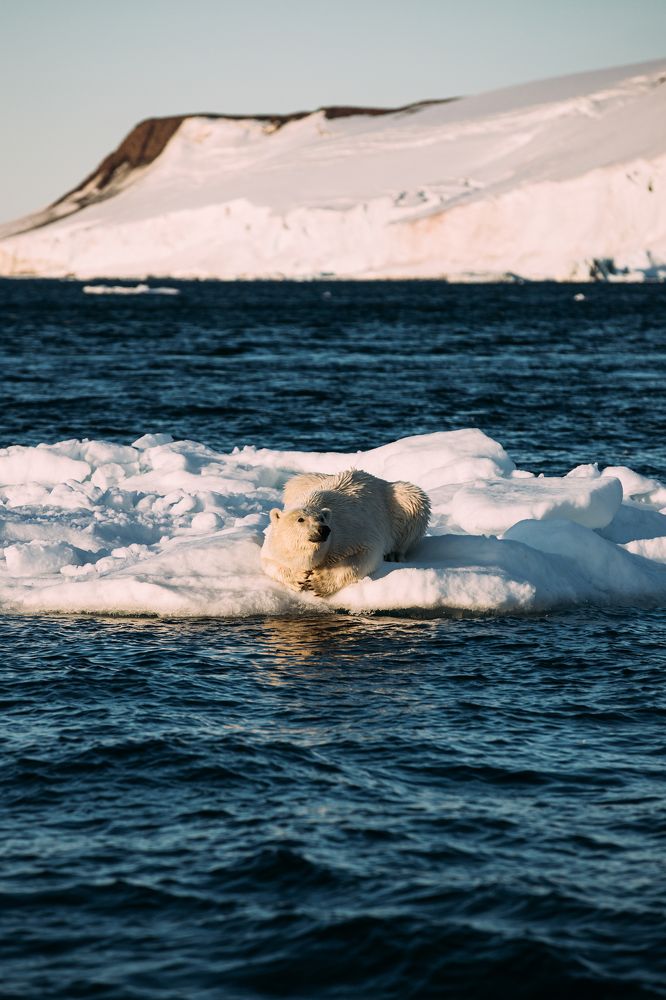Photograph by Артём Вольнов