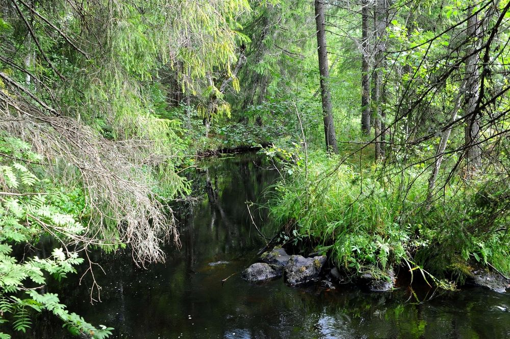 Photograph by Владимир