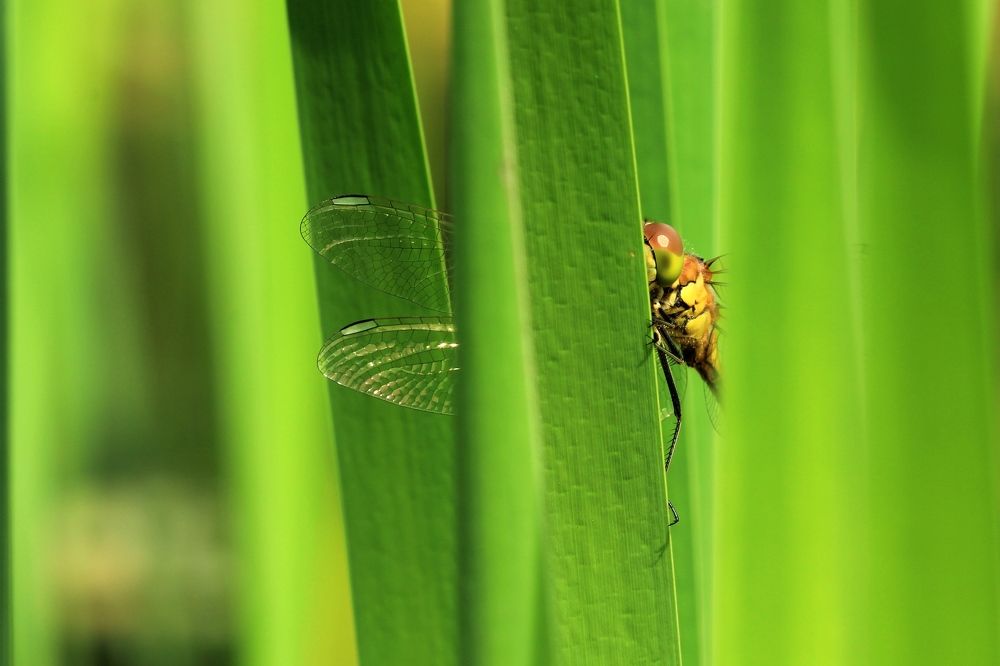 Photograph by Татьяна