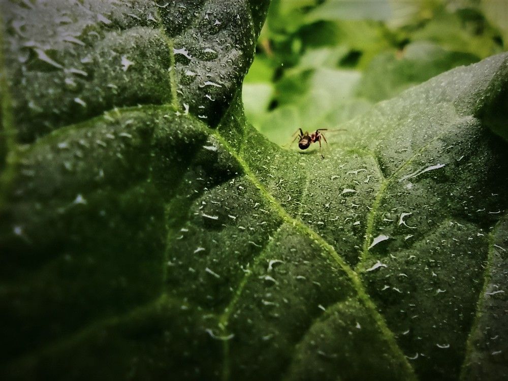 Photograph by Долгушева Татьяна