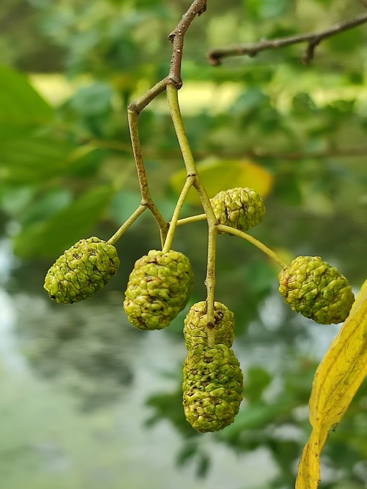 Photograph by Elena Goreva