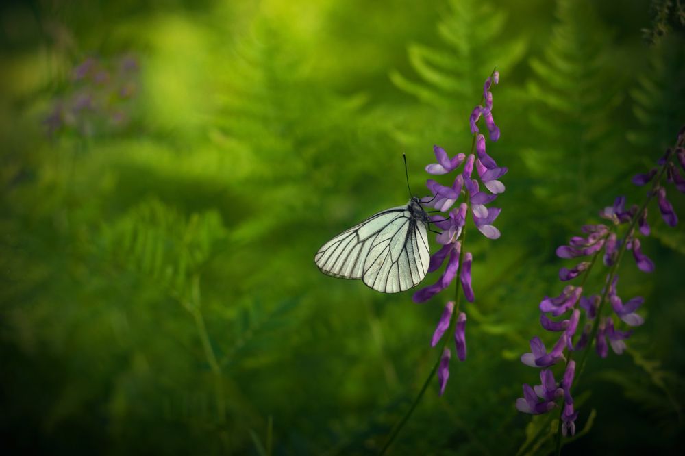 Photograph by Евгений Малинин