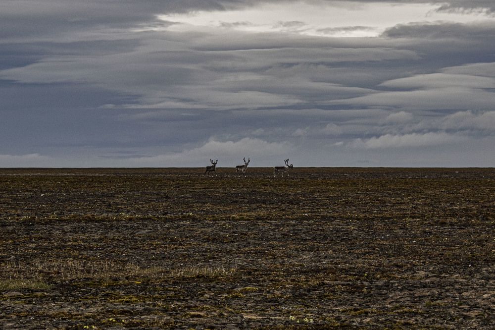 Фотография автора Данил Рейх