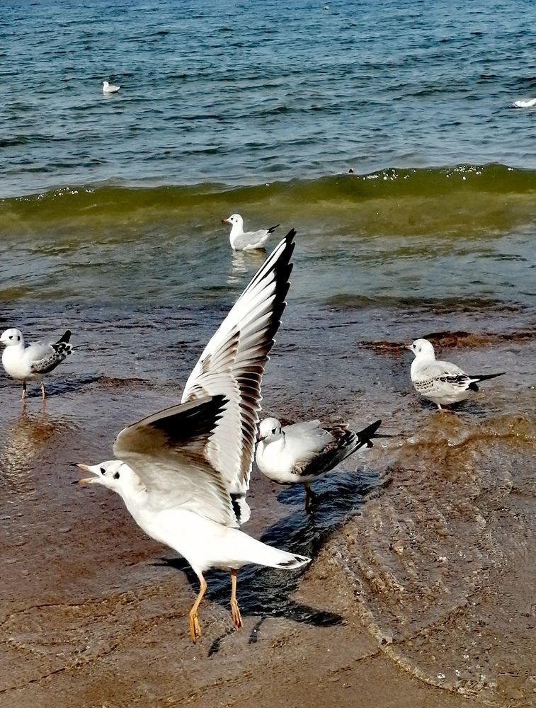 Photograph by Галина Смирнова