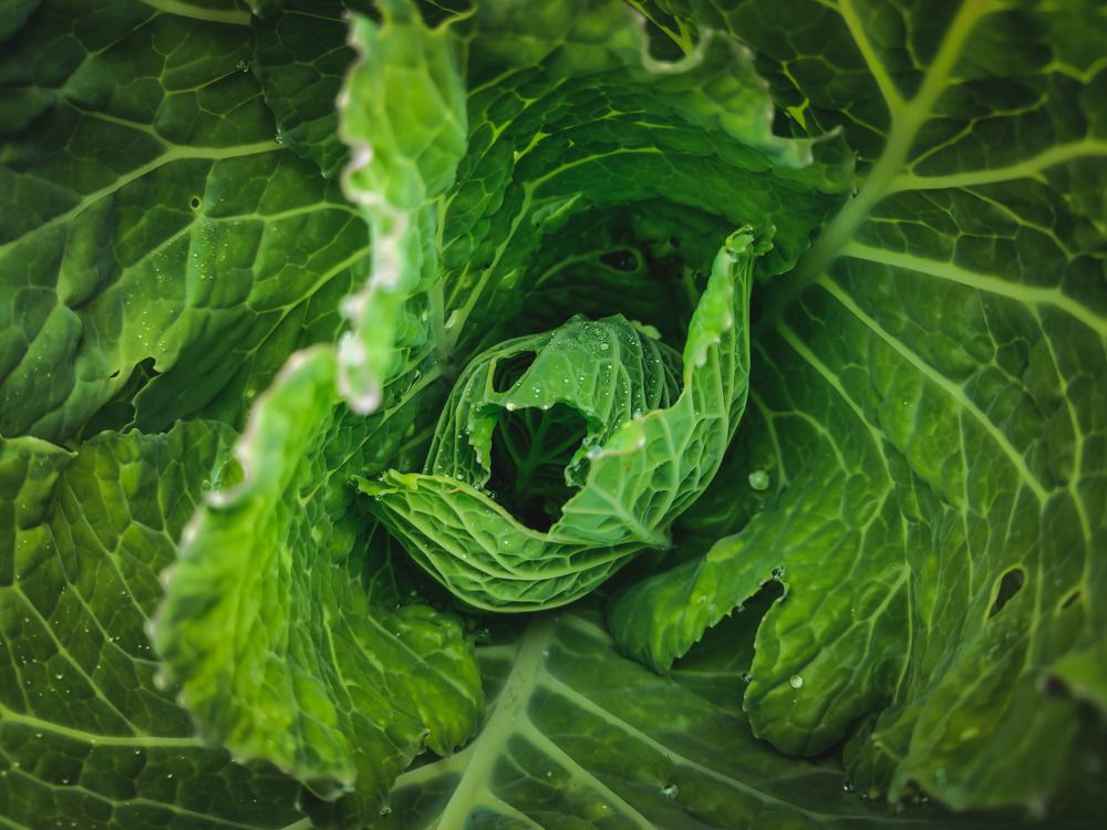 Photograph by Jear Cautivar