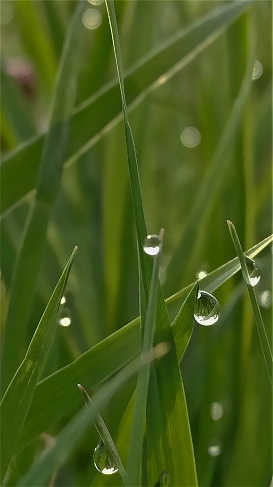 Фотография автора Таня Долгушева