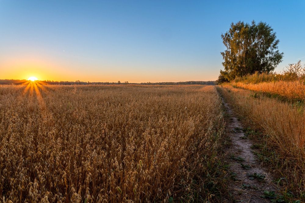 Photograph by Сергей Кочетов