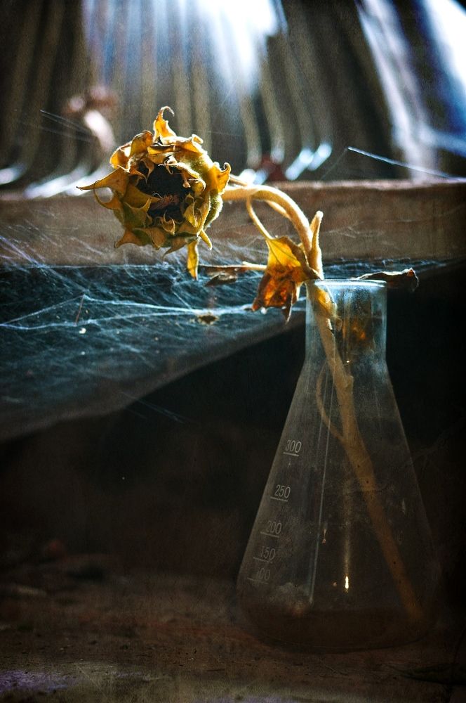 Photograph by Ольга Мальцева