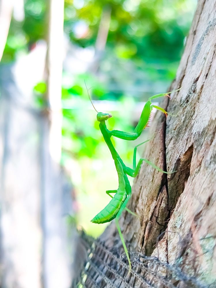 Photograph by Jear Cautivar