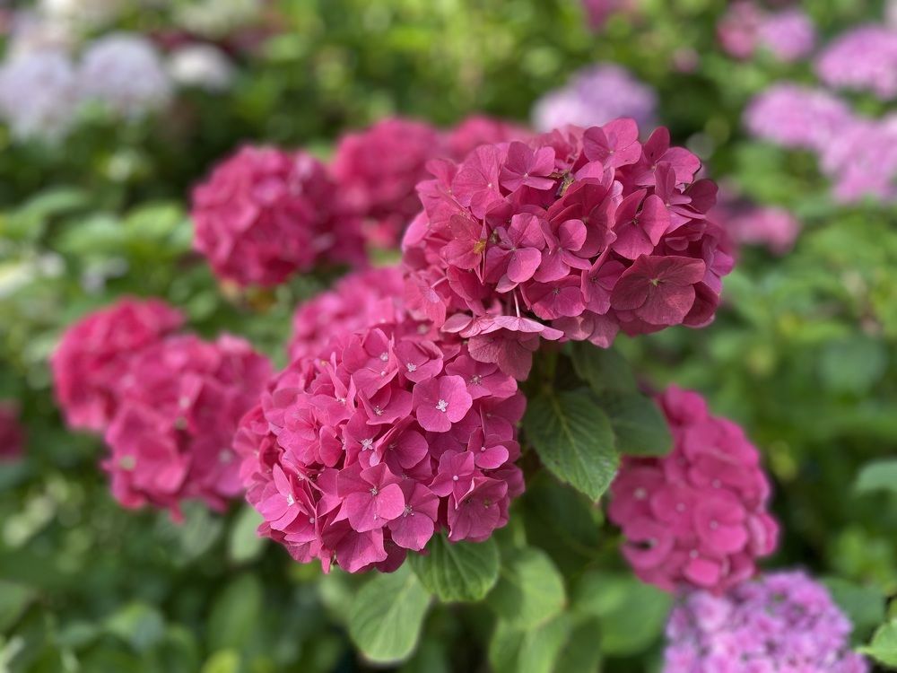 Photograph by Марина Дикманн