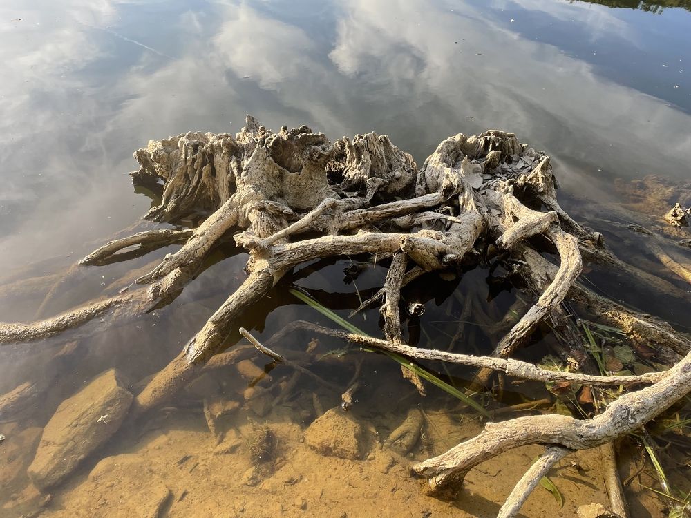 Photograph by Марина Дикманн