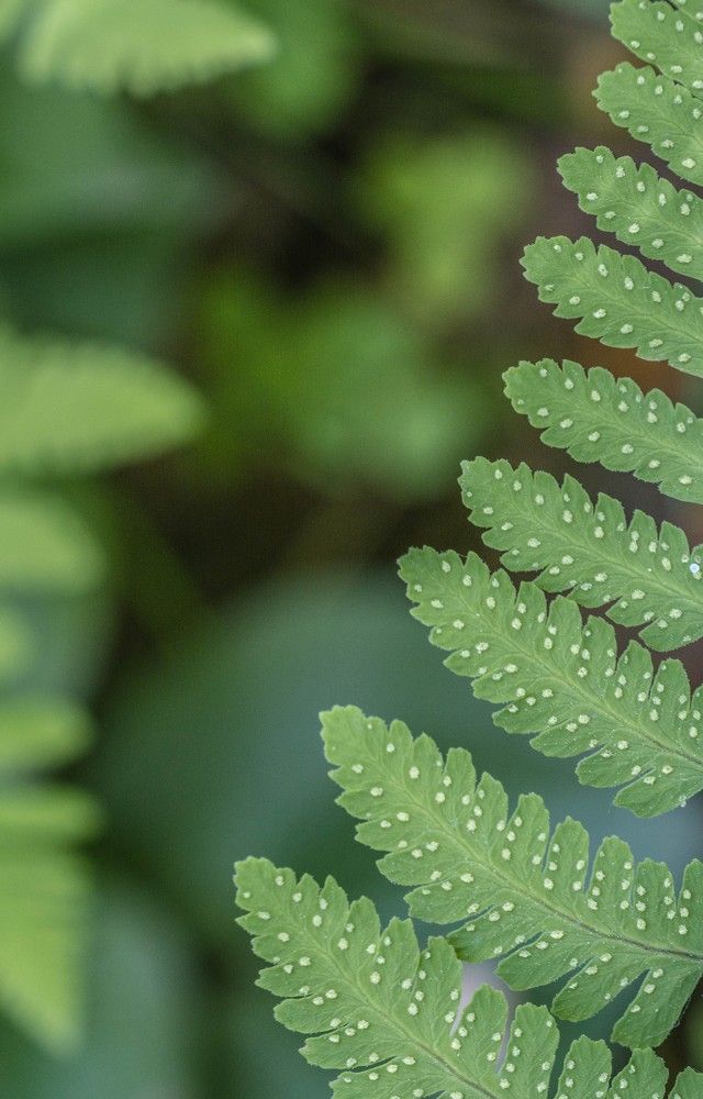 Photograph by Андрей Биксалеев