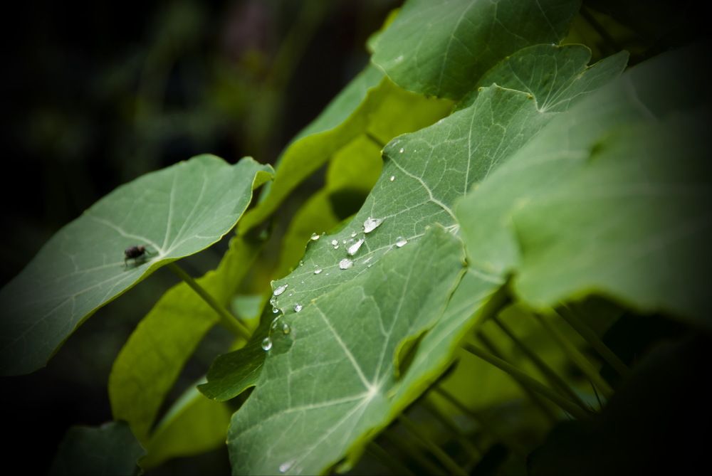 Photograph by Дубровин Николай