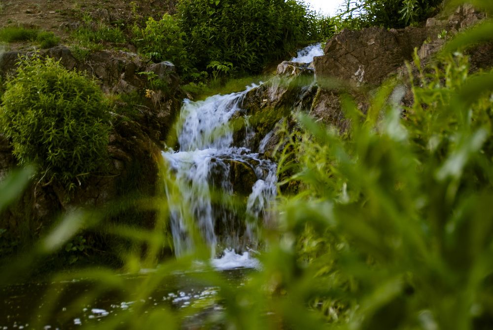 Photograph by Дубровин Николай