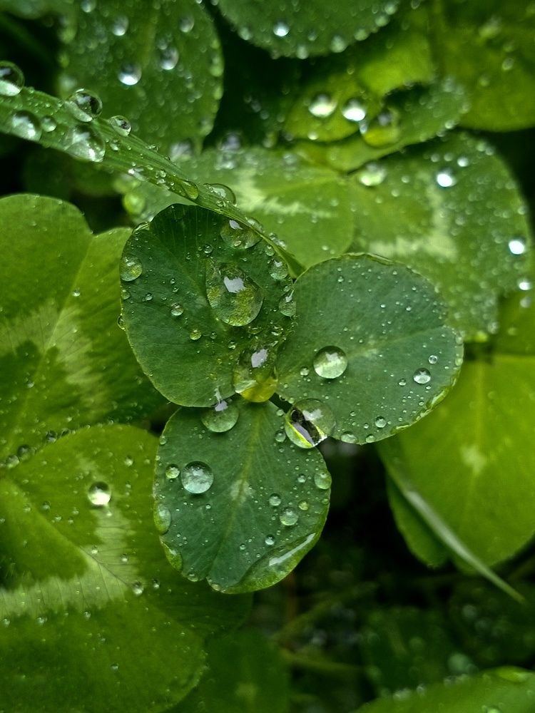 Photograph by Светлана