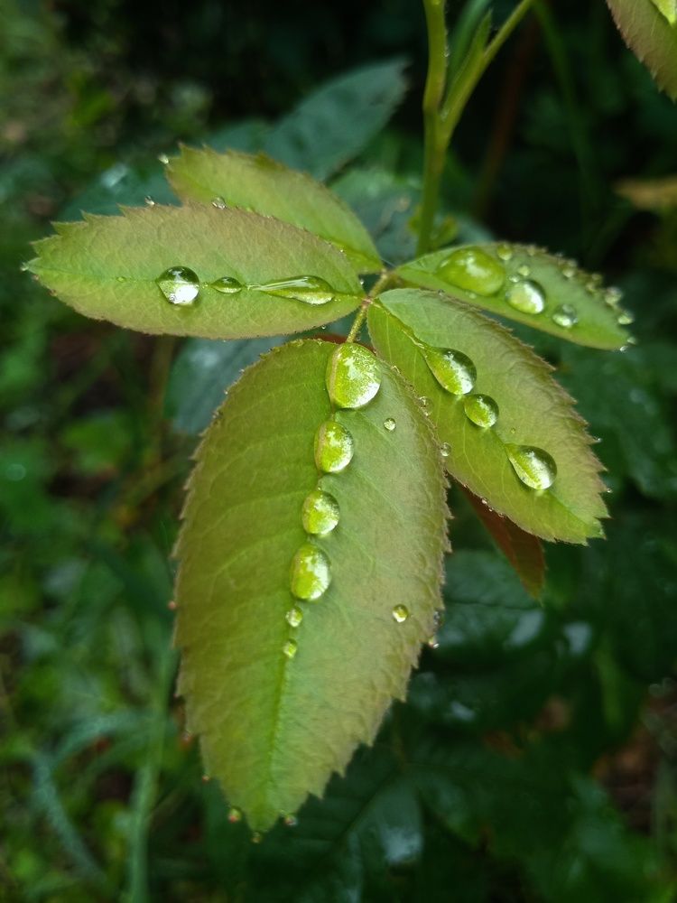 Photograph by Светлана