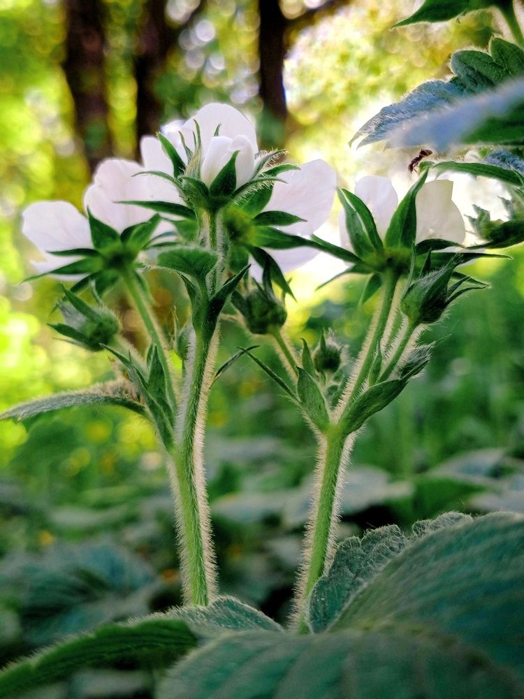 Photograph by Светлана