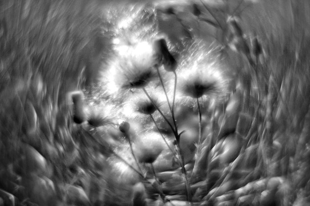 Летать, не имея крыльев