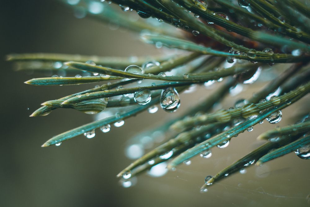 Photograph by Dina Abubakirova