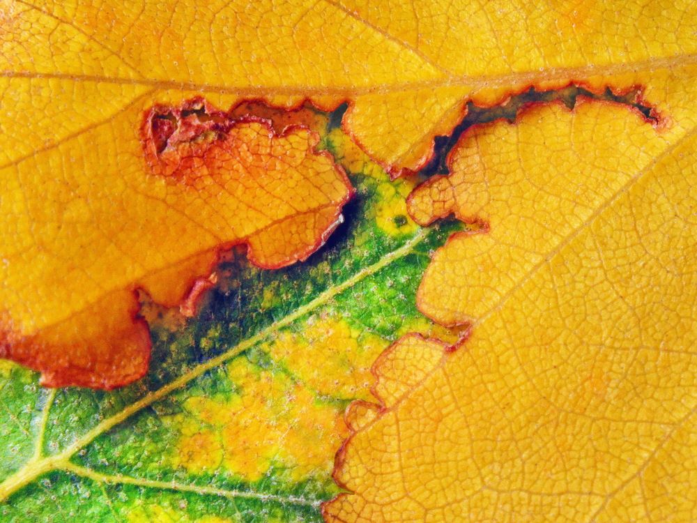 Photograph by Константин Мишнаевский