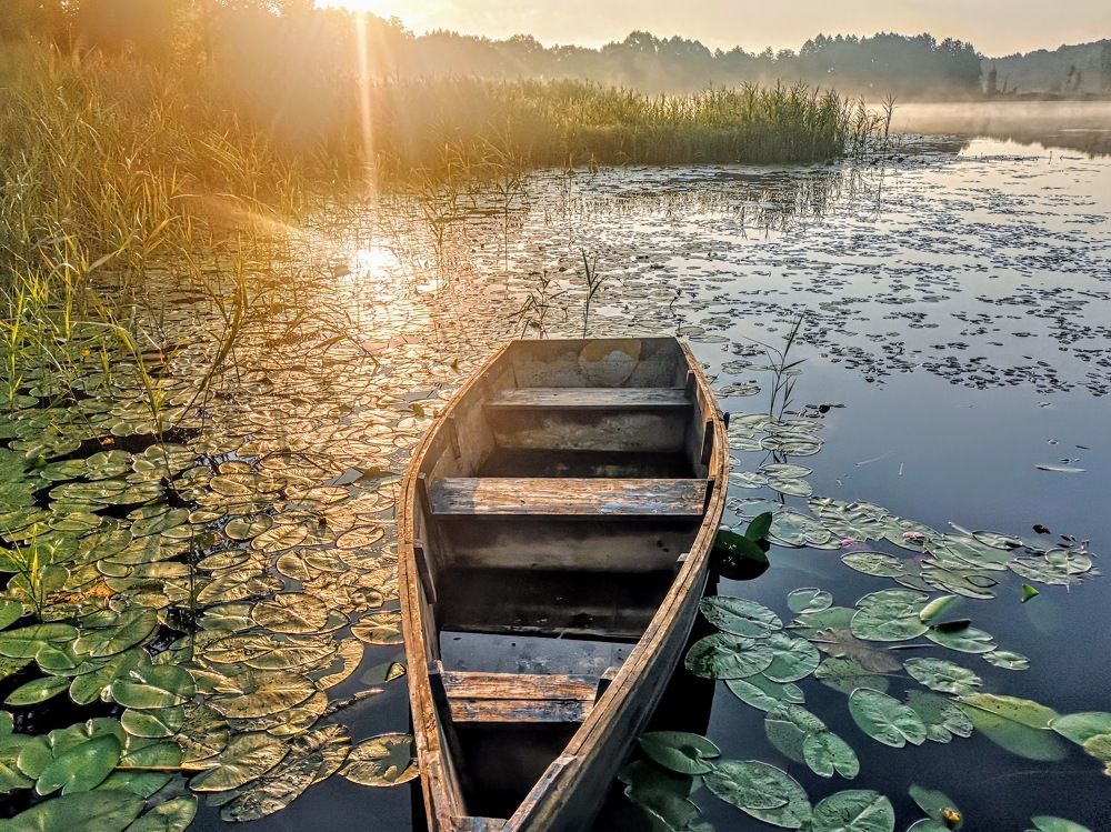 Фотография автора Александр Айзенштадт